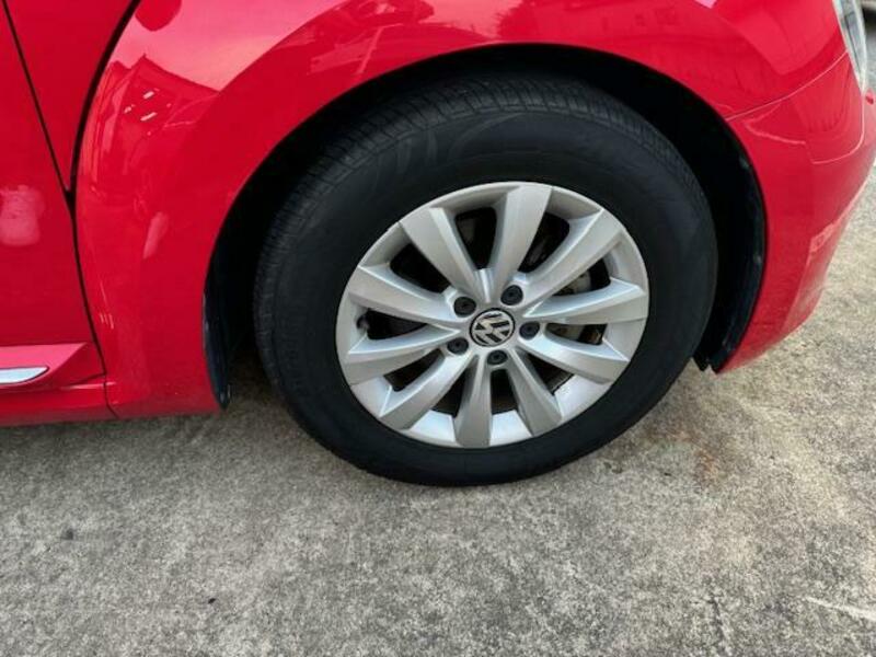 THE BEETLE