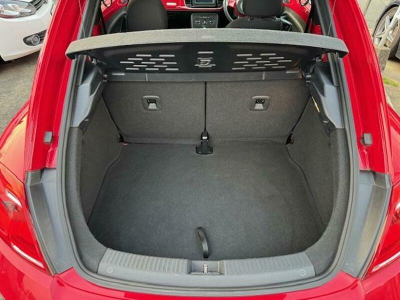 THE BEETLE