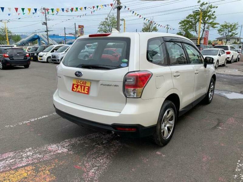 FORESTER