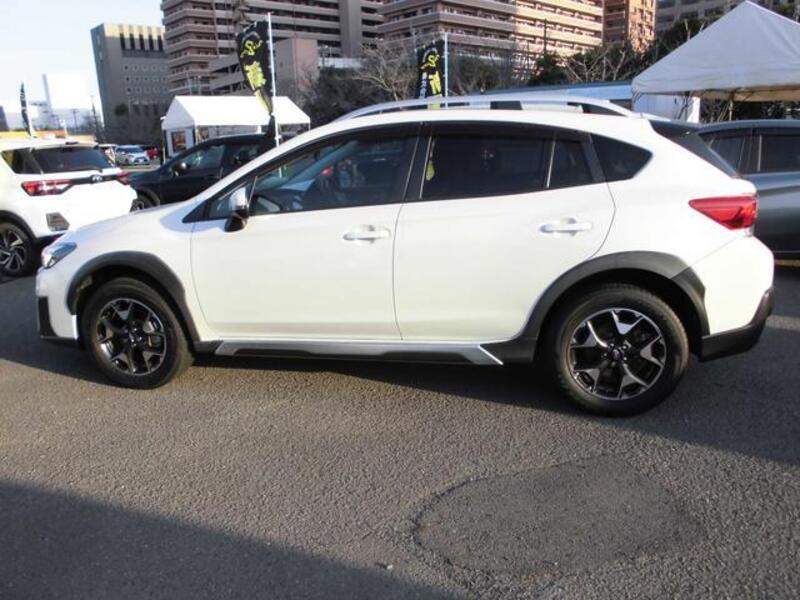 XV