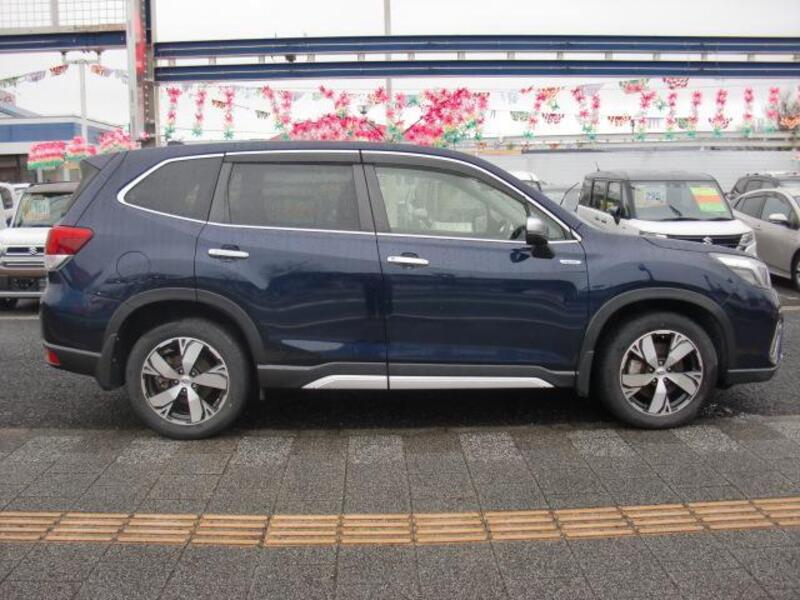 FORESTER