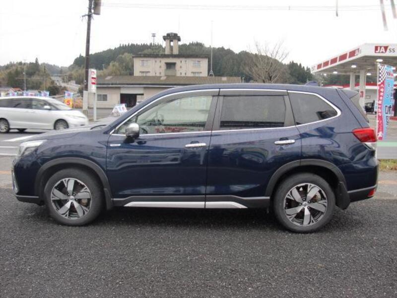 FORESTER