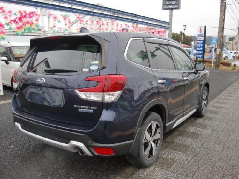 FORESTER
