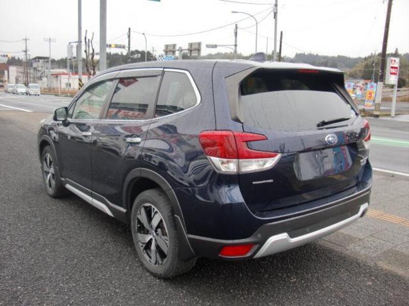 FORESTER