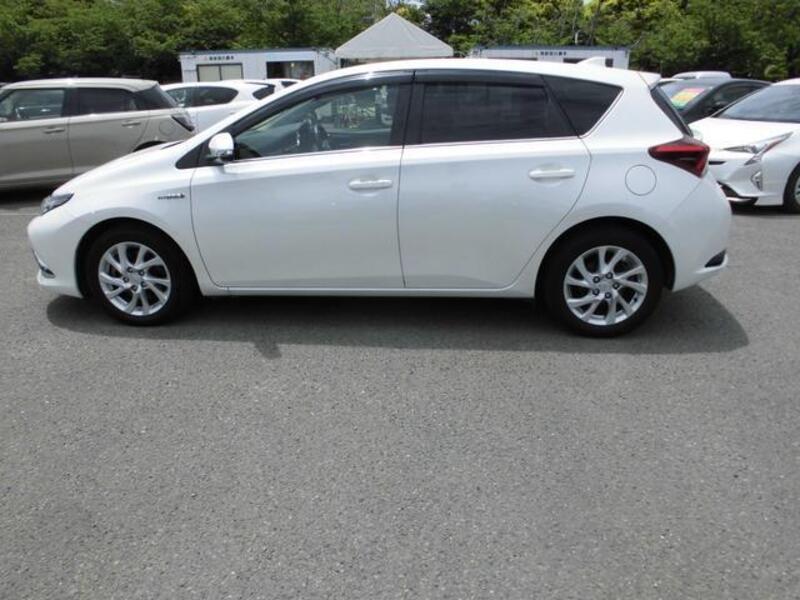 AURIS