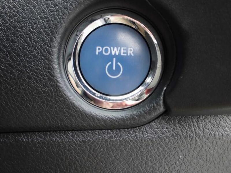 AURIS