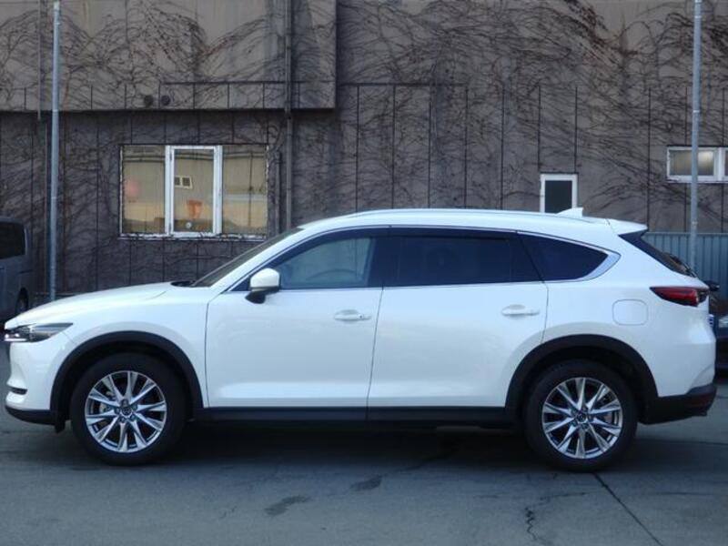 CX-8