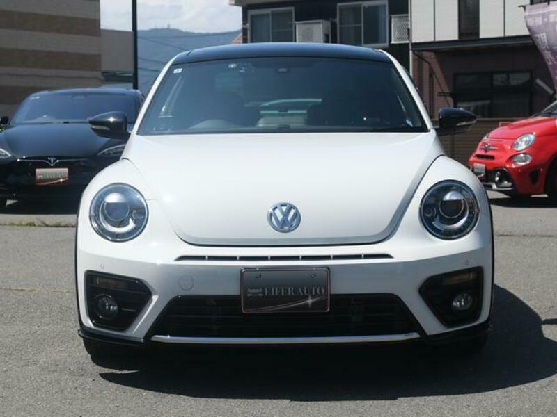 THE BEETLE
