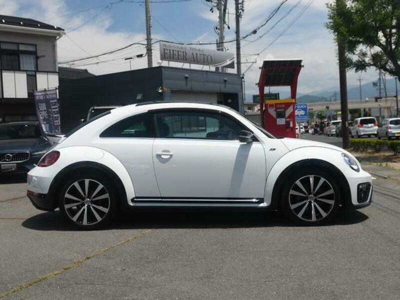 THE BEETLE