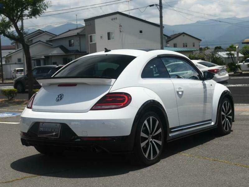 THE BEETLE
