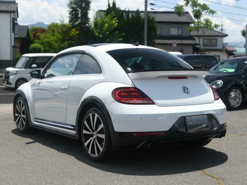 THE BEETLE