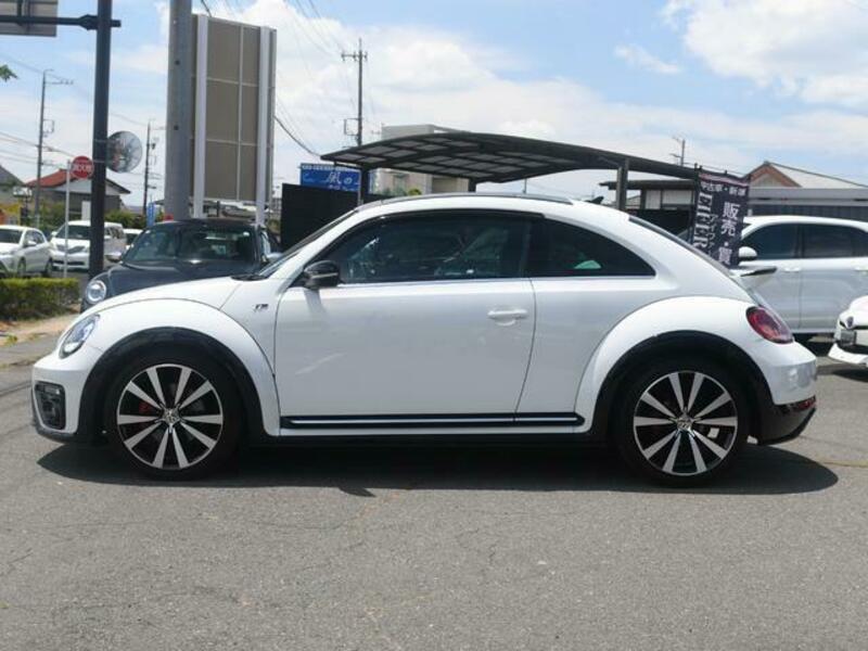 THE BEETLE