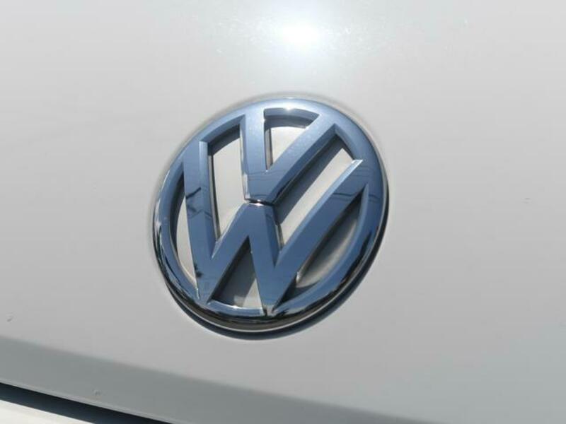 THE BEETLE