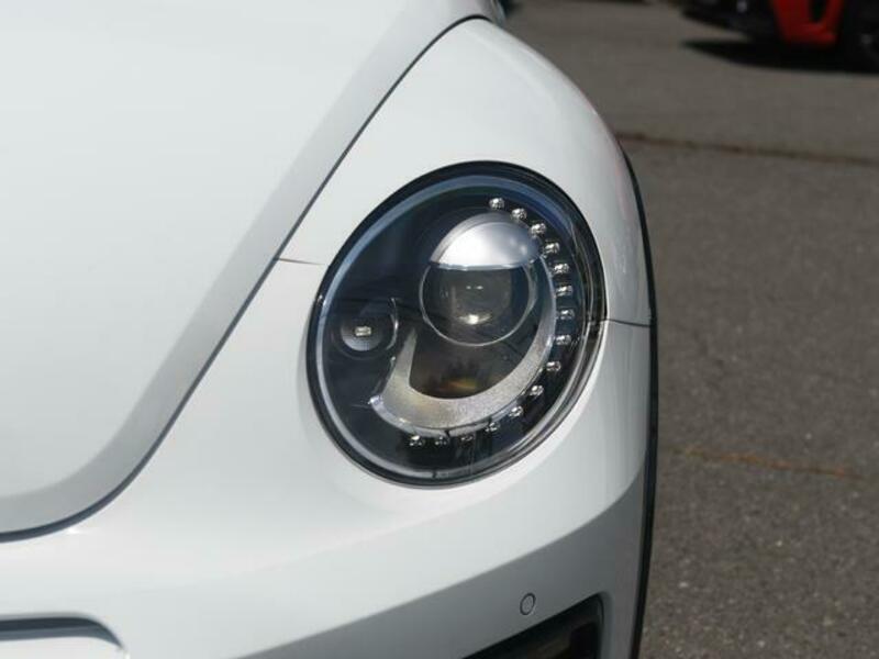 THE BEETLE