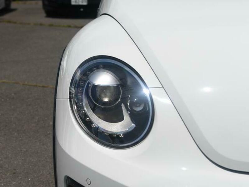 THE BEETLE