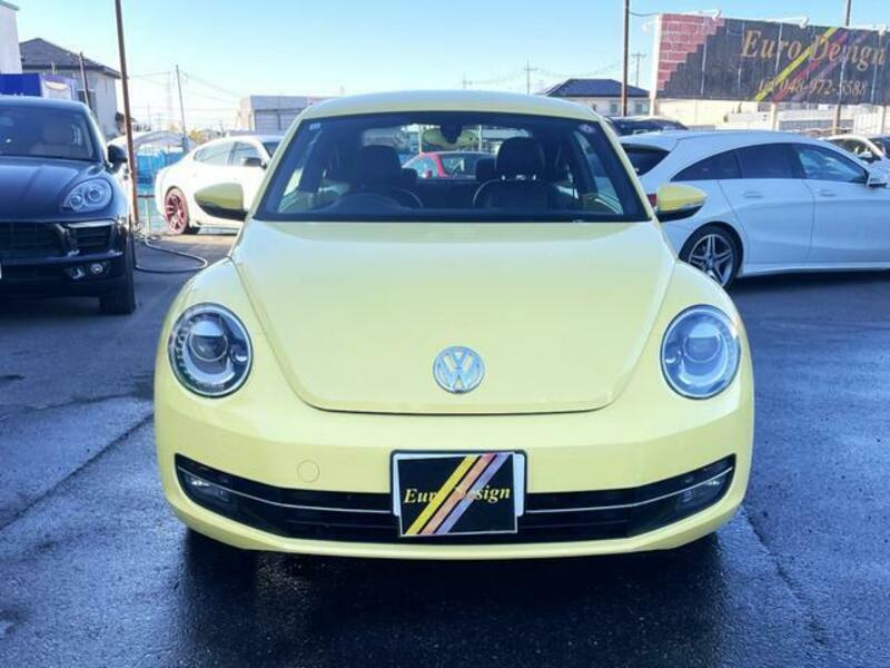 THE BEETLE