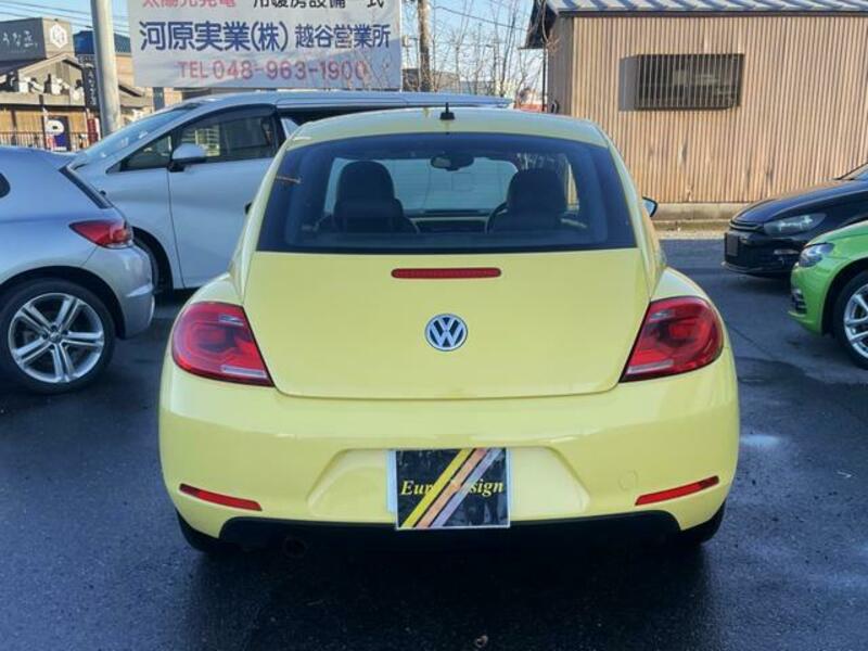 THE BEETLE
