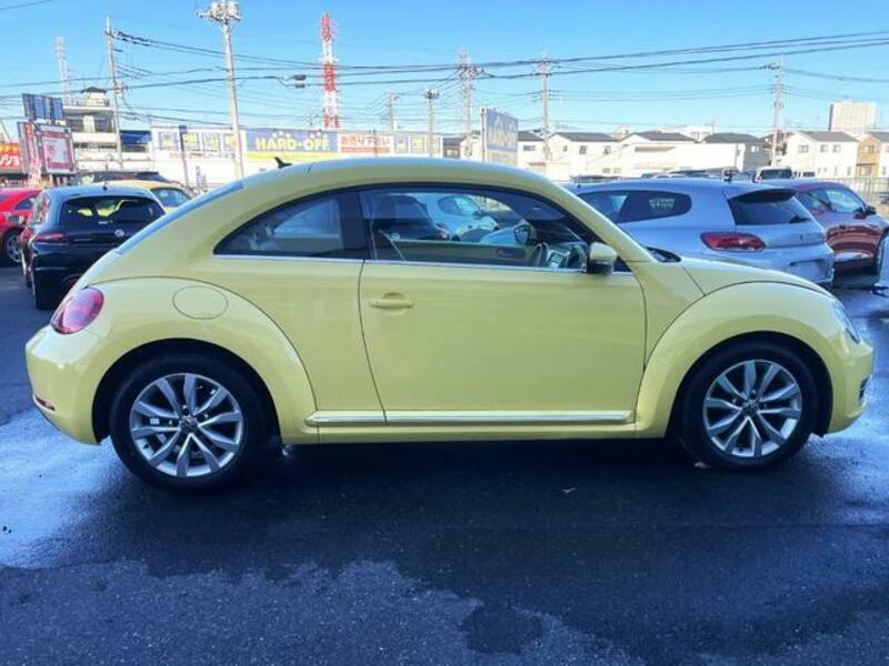 THE BEETLE
