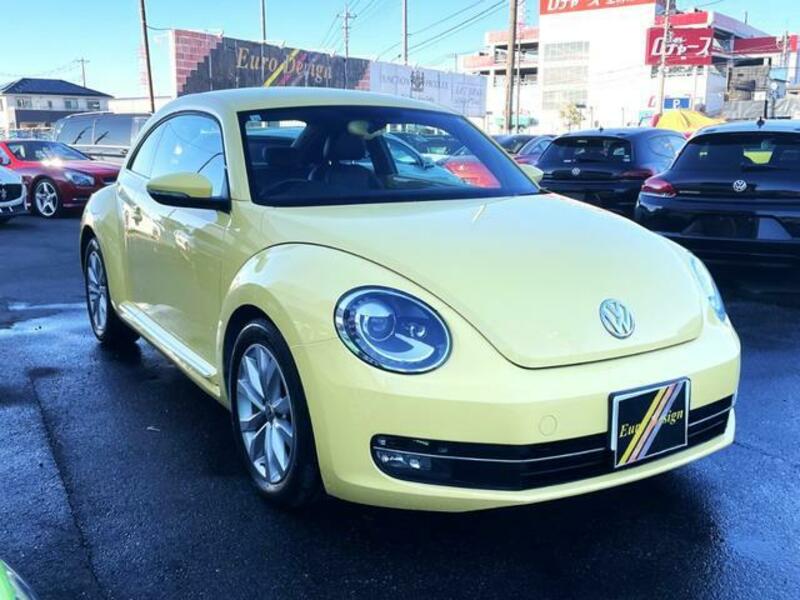 THE BEETLE