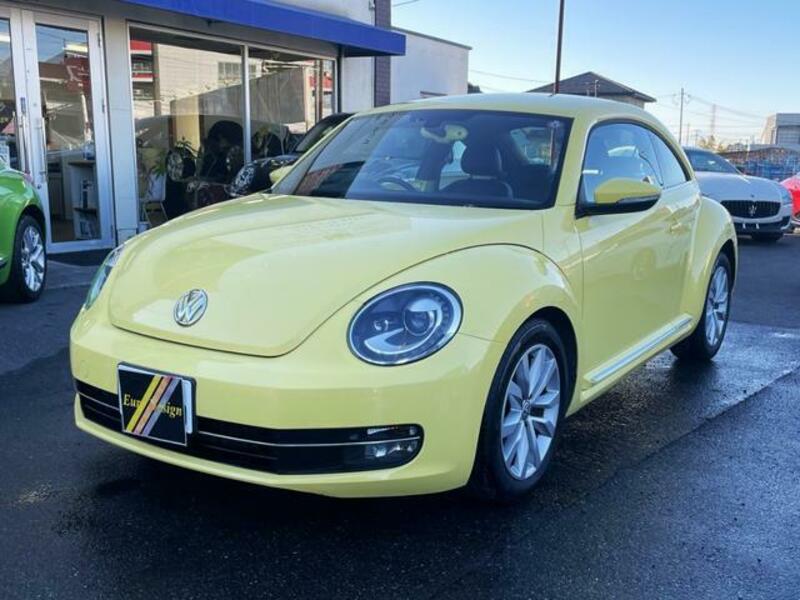 THE BEETLE