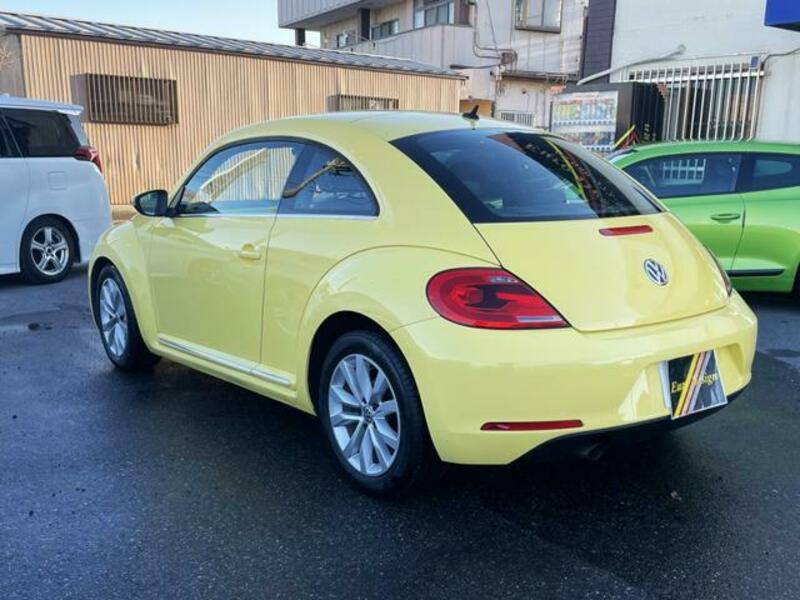 THE BEETLE