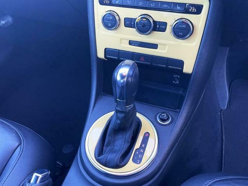 THE BEETLE