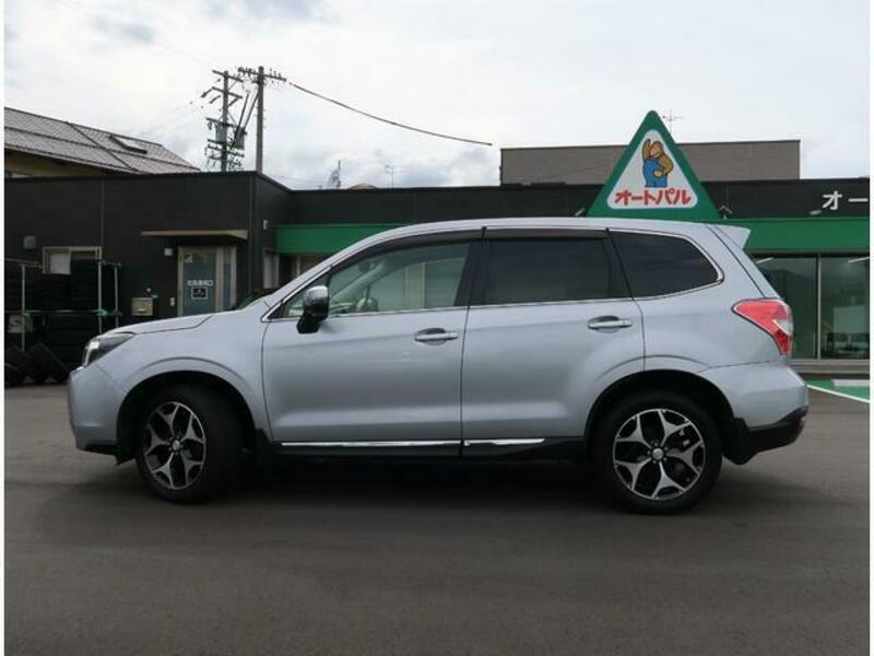 FORESTER