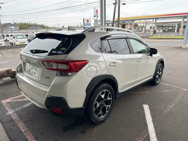 XV