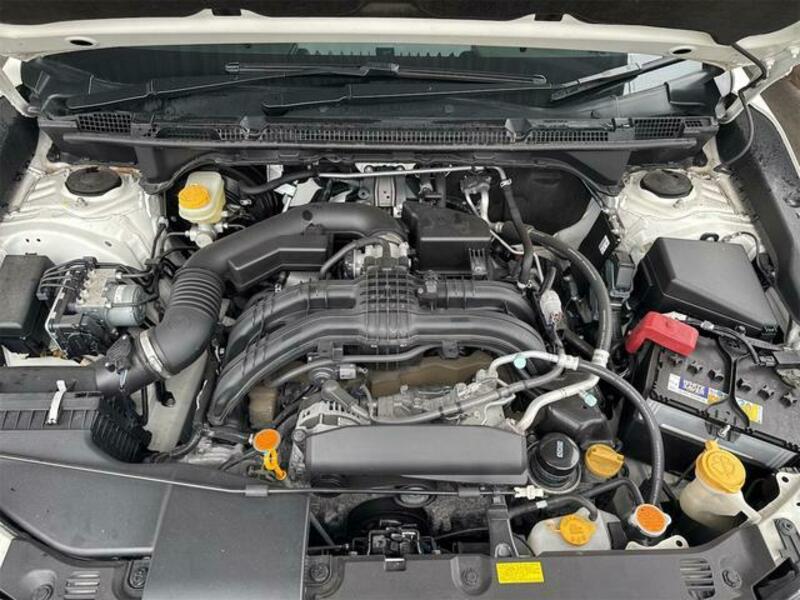 XV