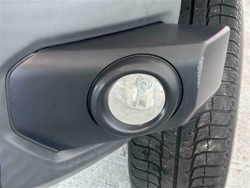 FJ CRUISER