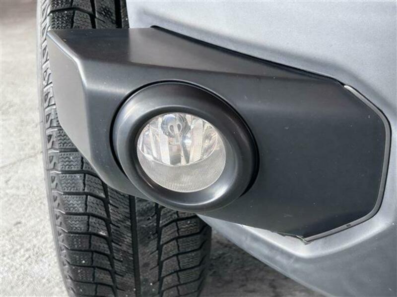 FJ CRUISER