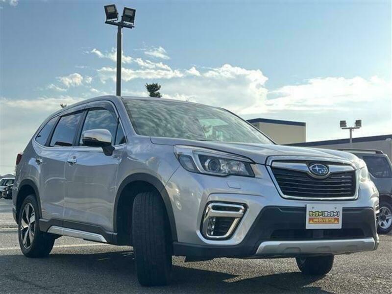 FORESTER