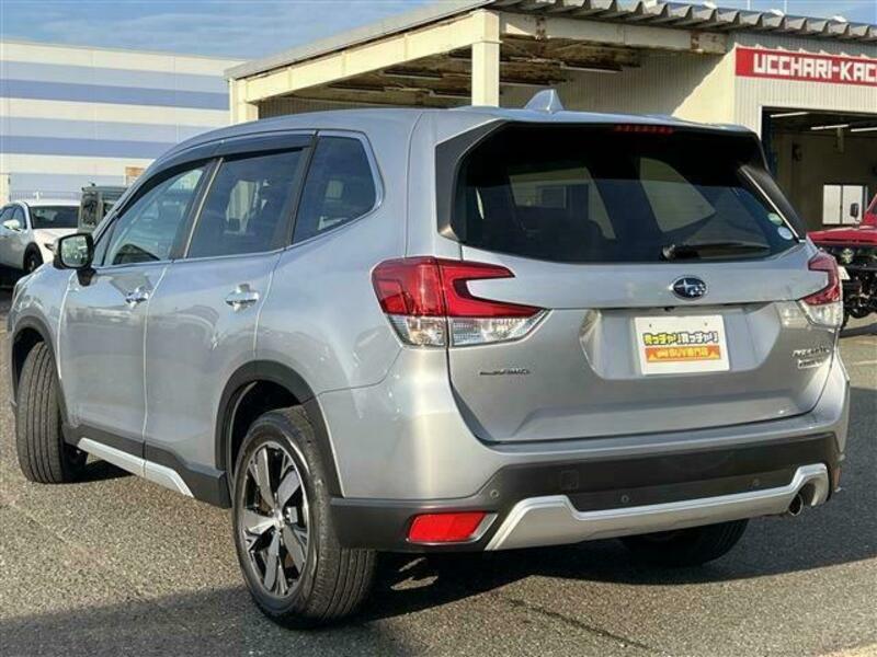 FORESTER