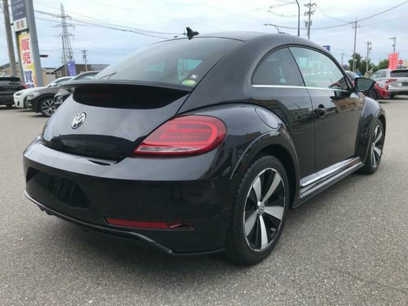 THE BEETLE