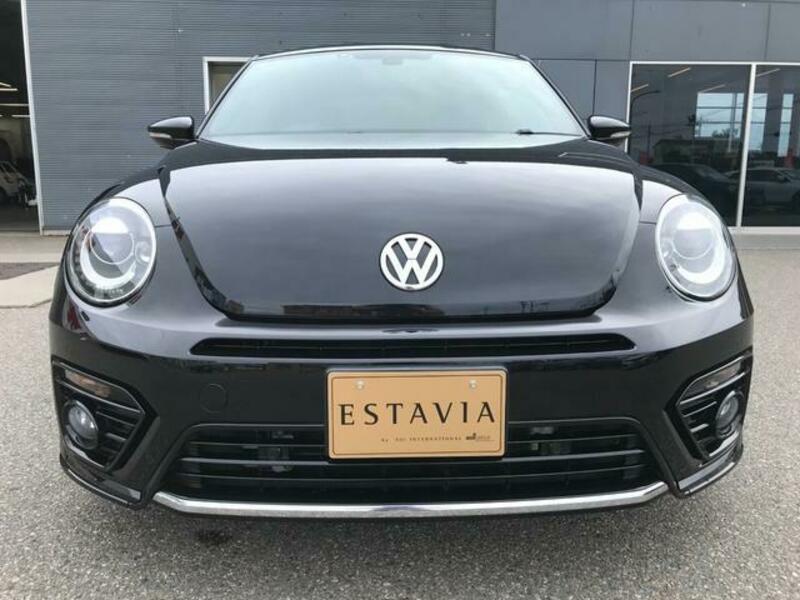 THE BEETLE
