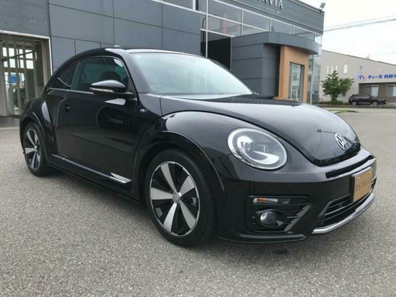 THE BEETLE
