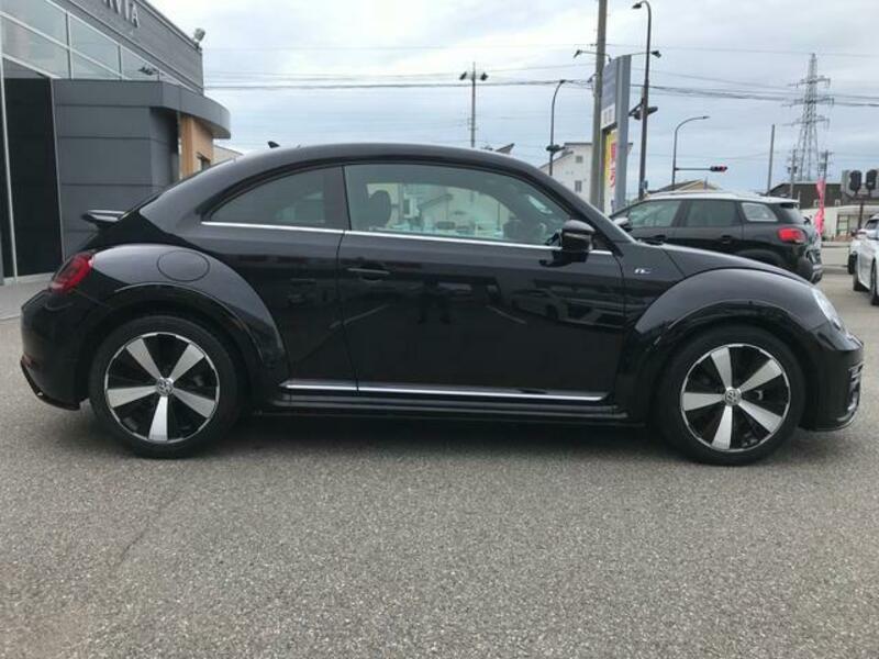THE BEETLE