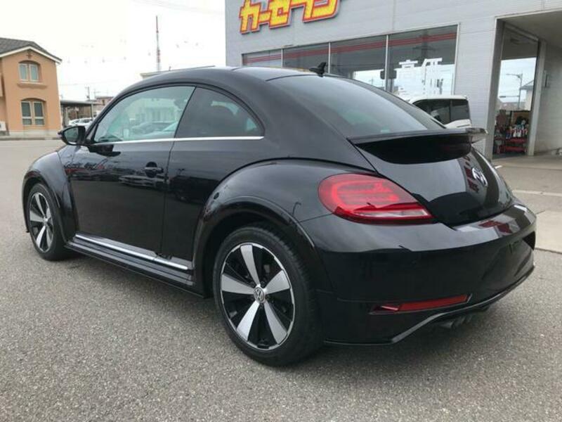 THE BEETLE