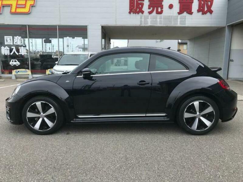 THE BEETLE