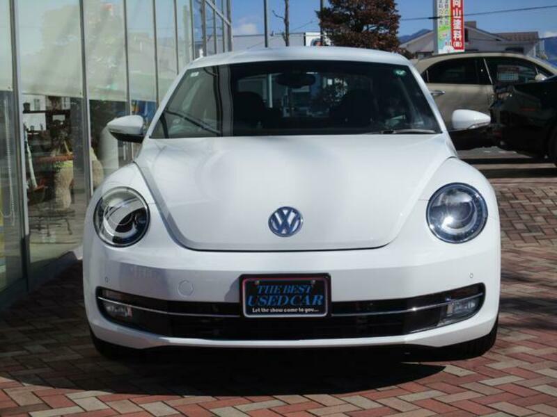 THE BEETLE