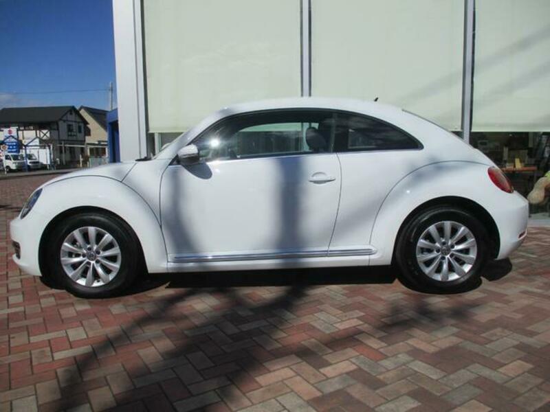 THE BEETLE