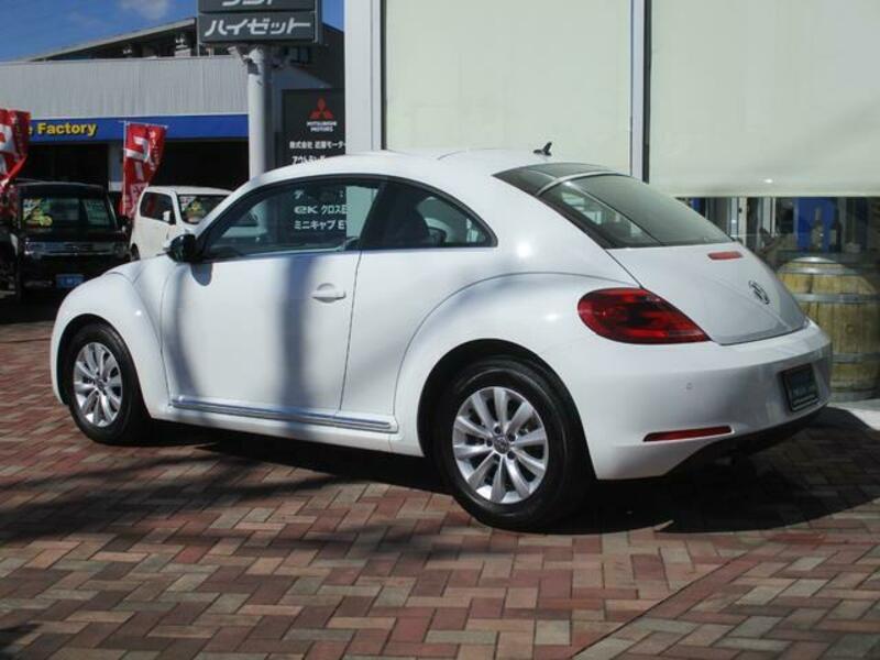 THE BEETLE