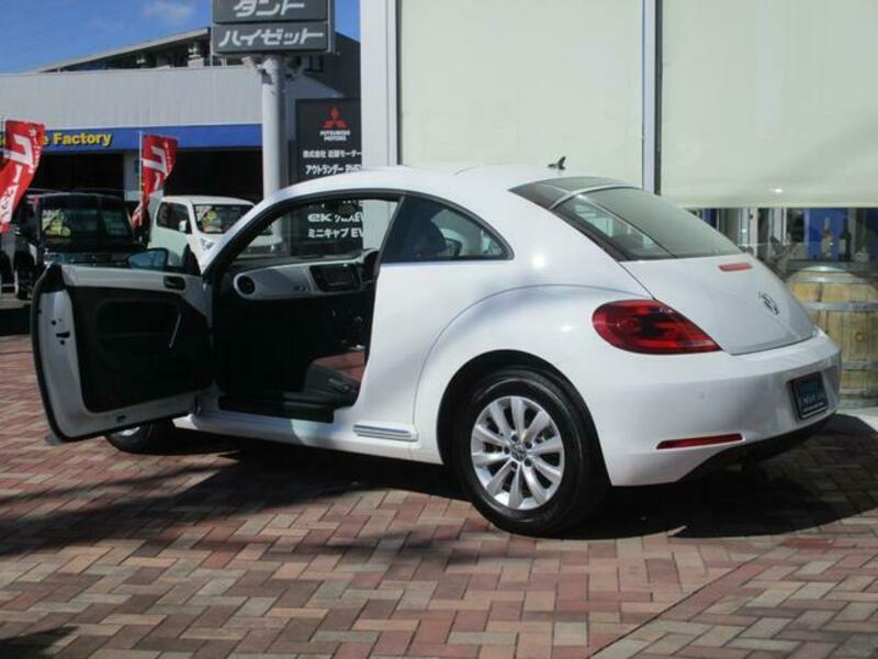 THE BEETLE