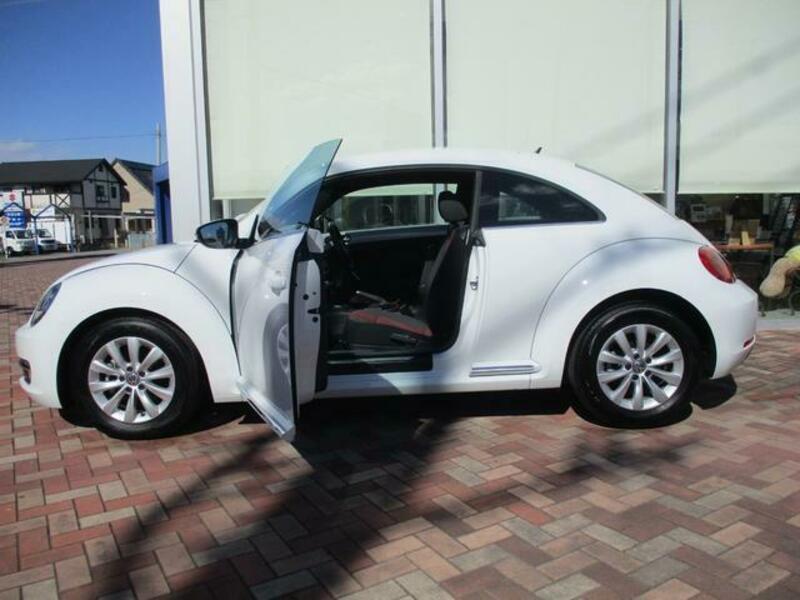 THE BEETLE