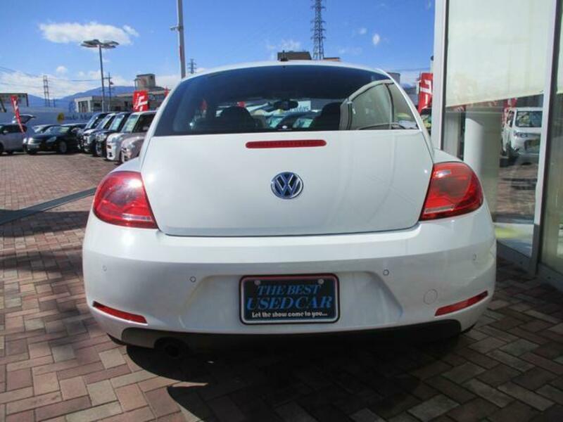 THE BEETLE