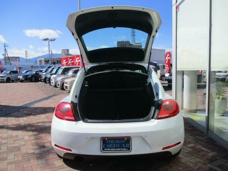 THE BEETLE