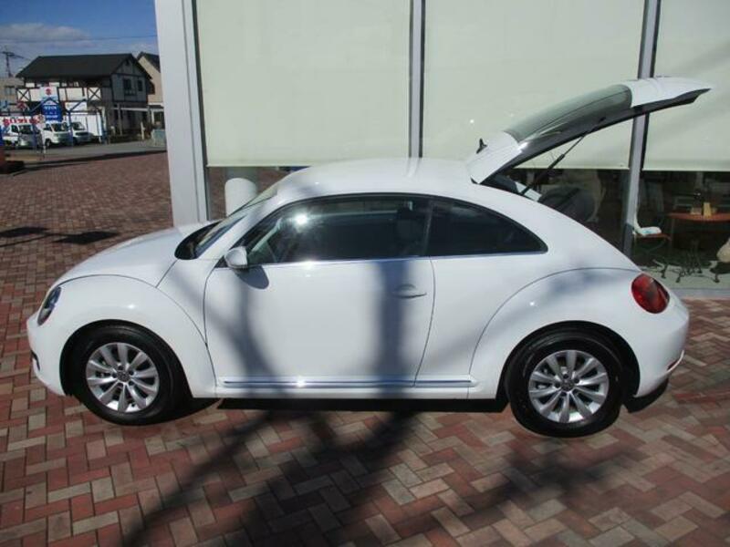 THE BEETLE