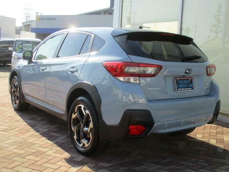 XV