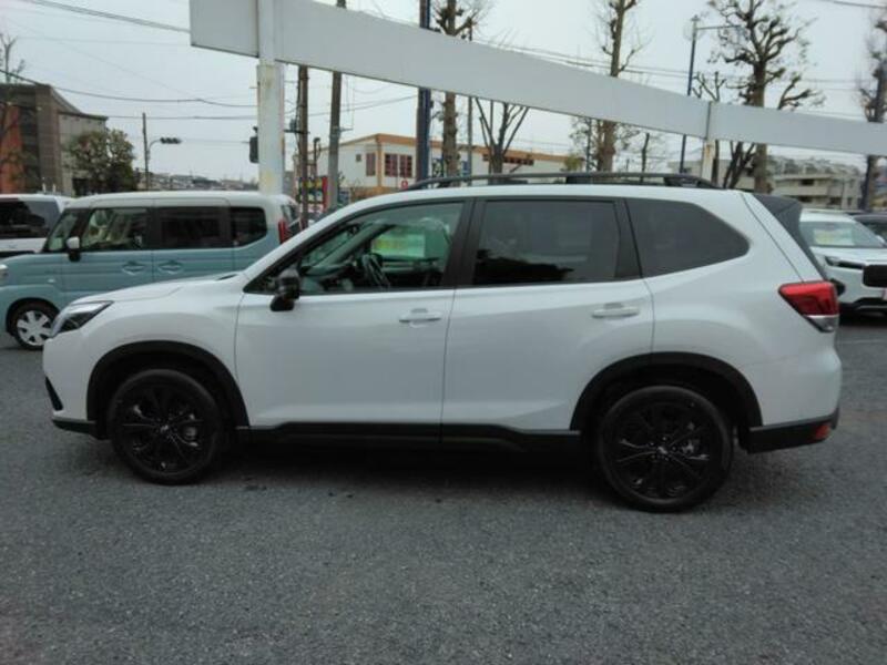 FORESTER