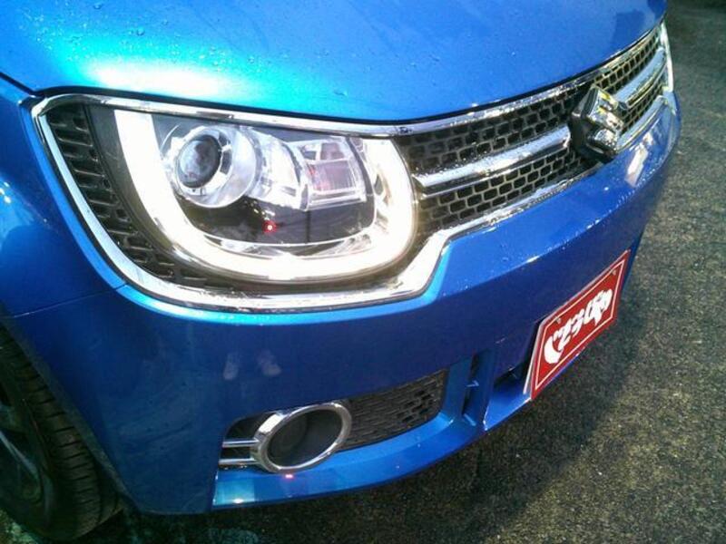 IGNIS